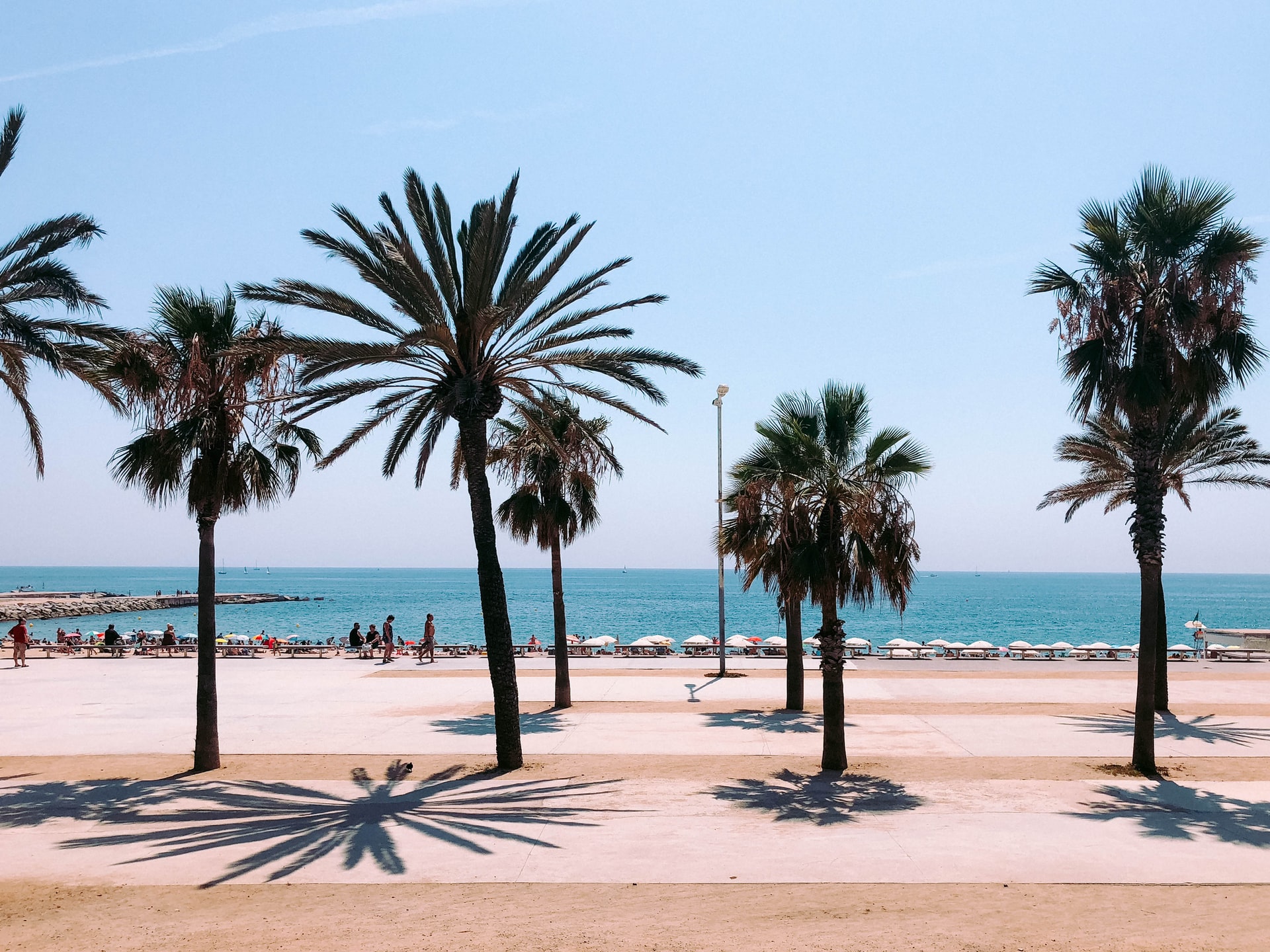 A Palm Beach in Bercelona